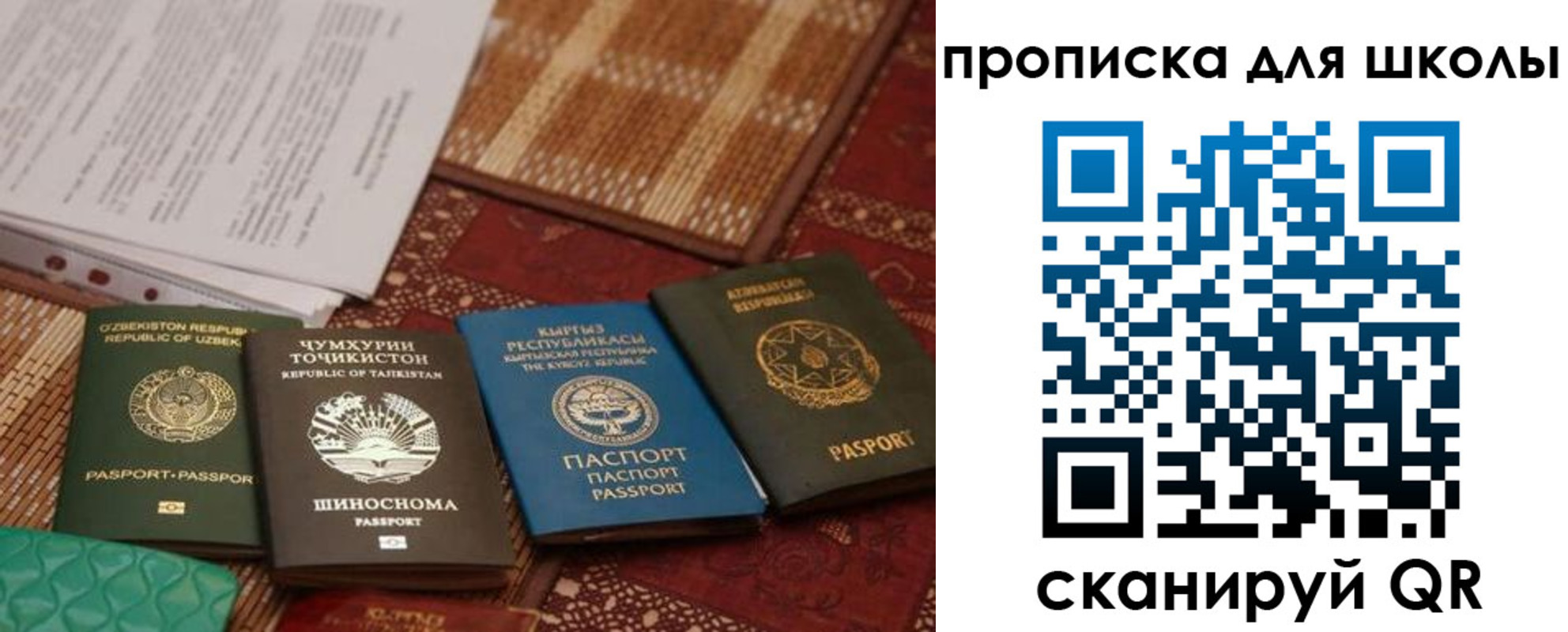 прописка от собственника в Мурино